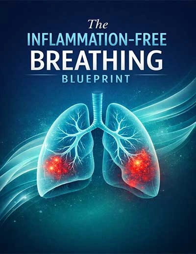 pulmo balance bonus 2 The Inflammation-free Breathing Blueprint (Instant)